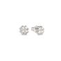 Nomination Armonica Sterling Silver Four Leaf Clover Stud Earrings