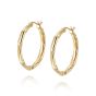 Daisy London Estée Lalonde Goddess Glow Hoop Earrings - Gold