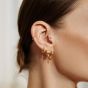 Ania Haie Tube Medium Hoop Earrings - Gold E062-03G