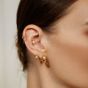 Ania Haie Chubby Medium Huggie Hoop Gold Earrings - E064-06G