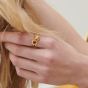 Rachel Jackson Adjustable Electric Love Mini Garnet Heart Ring Gold EGHR2GAGP