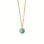 Daisy Amazonite Healing Necklace - Gold HN1003_GP