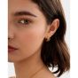 Katie Loxton Laia Waterproof Gold Illusion Hoop Earrings. Item code KLJ6403.