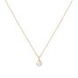 Ania Haie Pearl Drop Gold Pendant Necklace. Item code N065-01G.