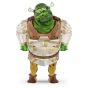 Swarovski Crystal Shrek Shrek - 5720462