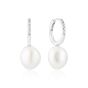 Sif Jakobs Padua Uno Pearl Earrings - Silver - SJ-E2443-PCZ