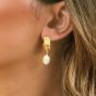 Ivory & Co West Palm Gold Pearl Earrings