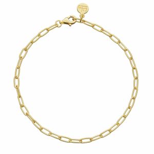 Lily Charmed Oval Link Charm Bracelet Gold - item number CBRGOVAL