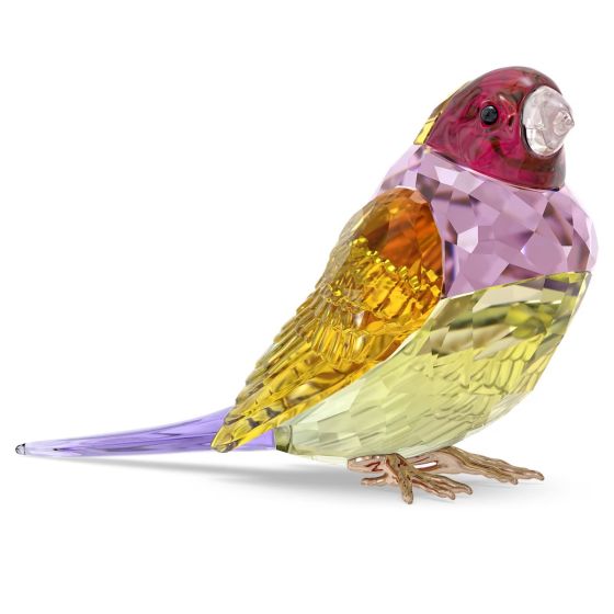 Swarovski Idyllia SCS Gouldian Finch - Large 5689265
