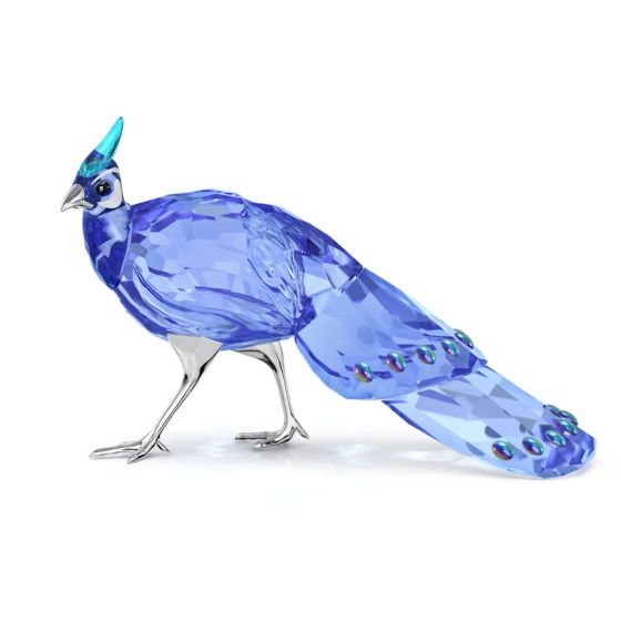 Swarovski Idyllia SCS Palawan Peacock-Pheasant - 5717851