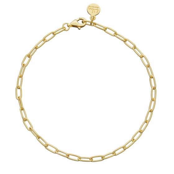 Lily Charmed Oval Link Charm Bracelet Gold - item number CBRGOVAL