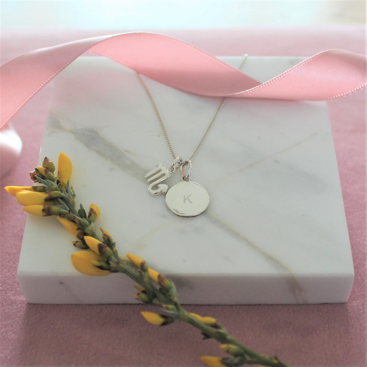 Zodiac and Disc Necklace - Sterling Silver